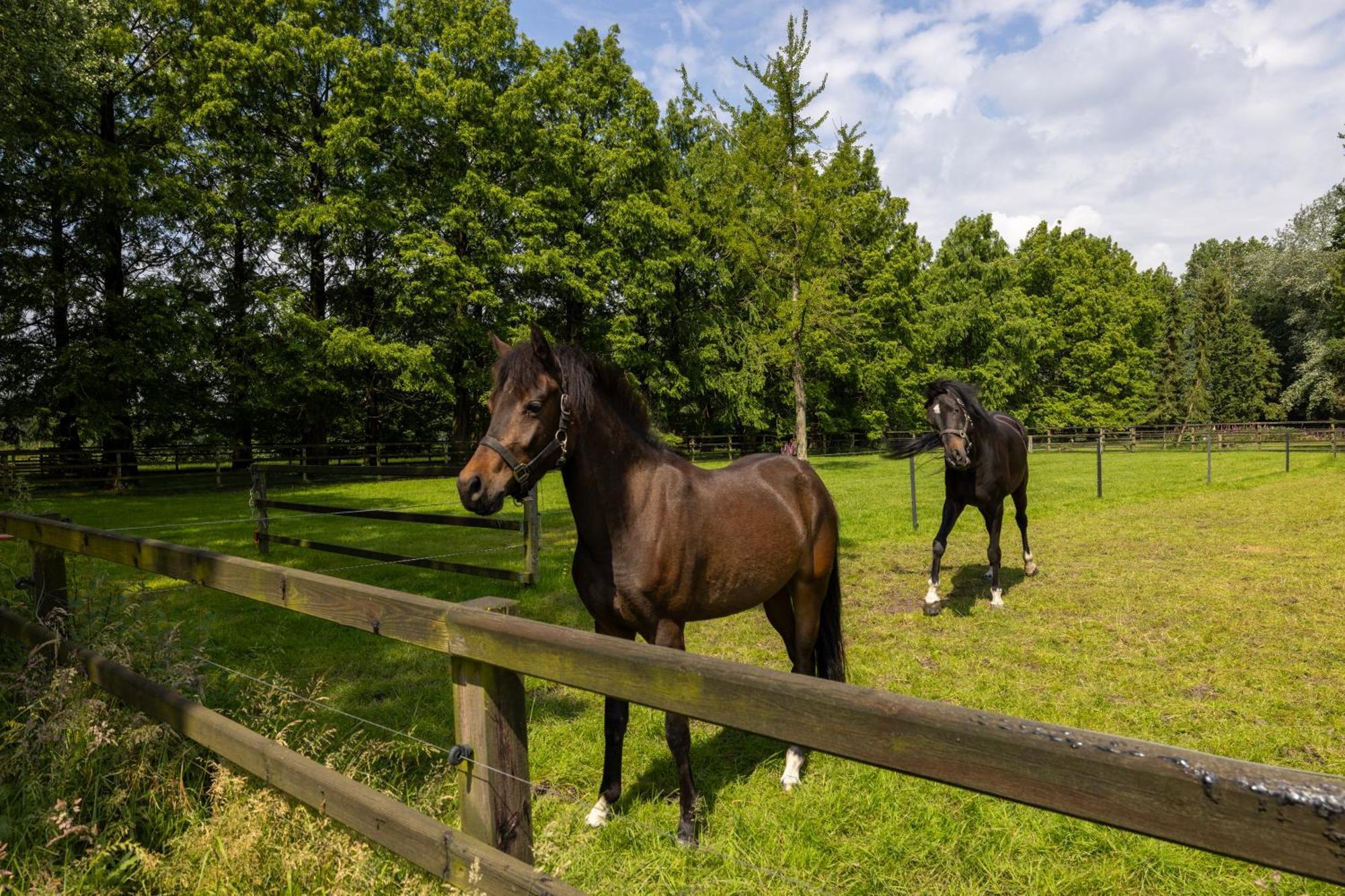 Luxe Hofstede Met Paardenstalling Lunteren Eksteriør billede